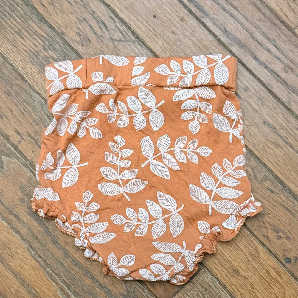 (5) Spearmint Love Diaper Covers
